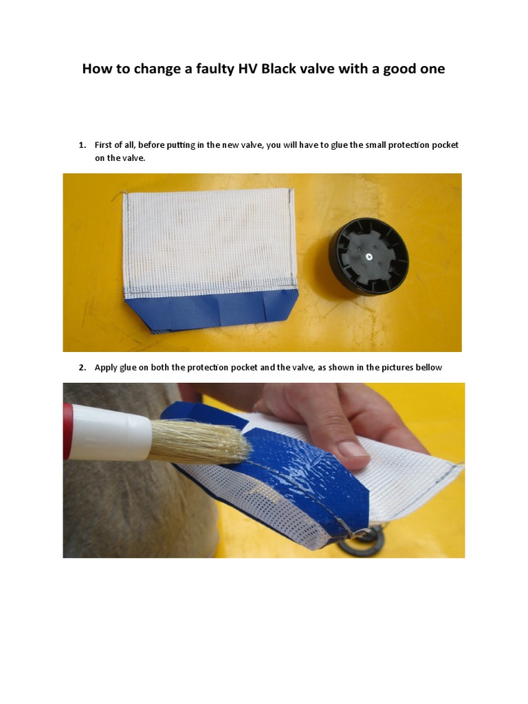 Changing The Black Valve PDF