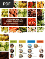 3. Eslabones de la cadena alimentaria (1) (1).pdf