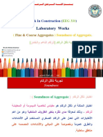 Soundness Test PDF