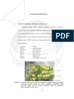 Alamanda PDF