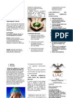 Triptico Gestion Ambiental 2