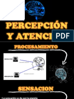 Neurofisiologia de La Percepción y Atención