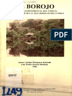 El Borojo - Cultivo Agroforestal Del Choco, Fundamental para El Desarrollo Sostenible