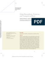 Folate biosynthesis_hanson