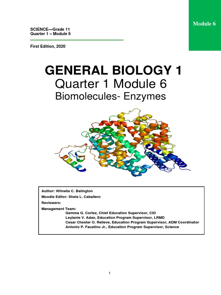 General Biology 1 Quarter 1 Module 6 PDF Active Site Enzyme