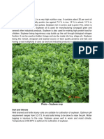 Soybean PDF