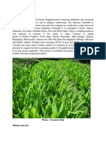 Turmeric PDF