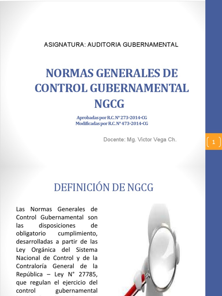 Normas Generales de Control Gubernamental | PDF | Auditoría ...