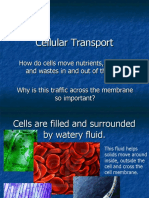 Cellular Transport 0910