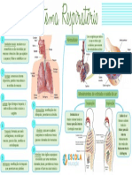Mapa-mental-Sistema-respiratório.pdf