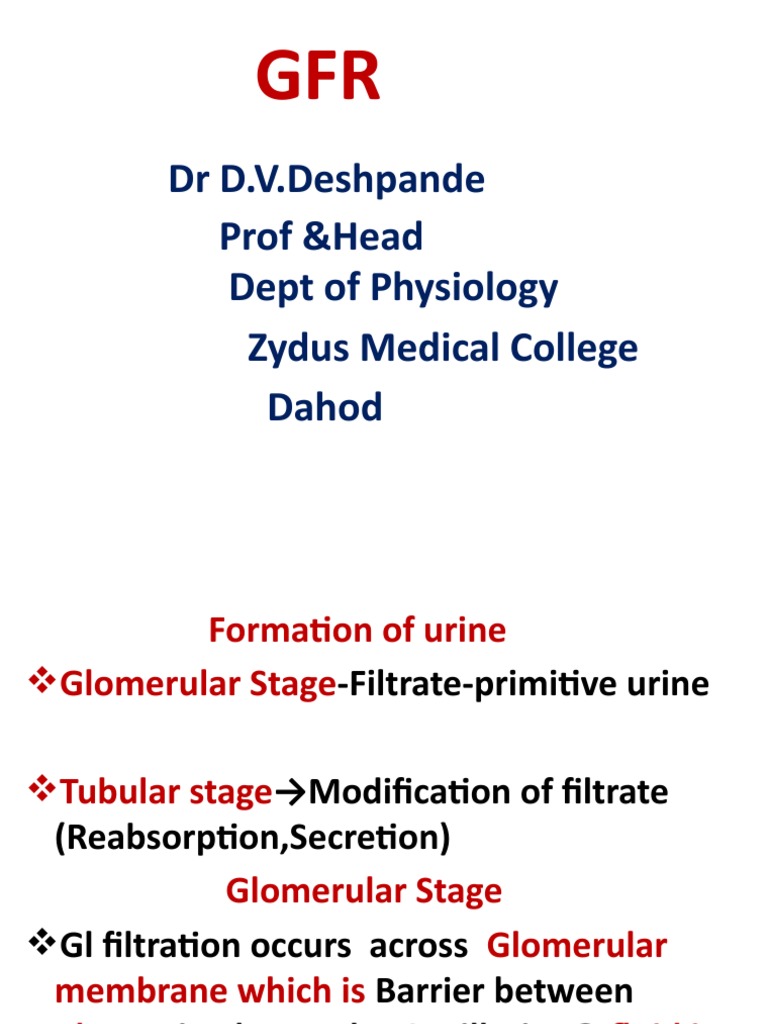 Understanding Glomerular Filtration Rate | PDF | Renal Function | Kidney