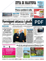 Gazzetta Mantova 5 Marzo 2010