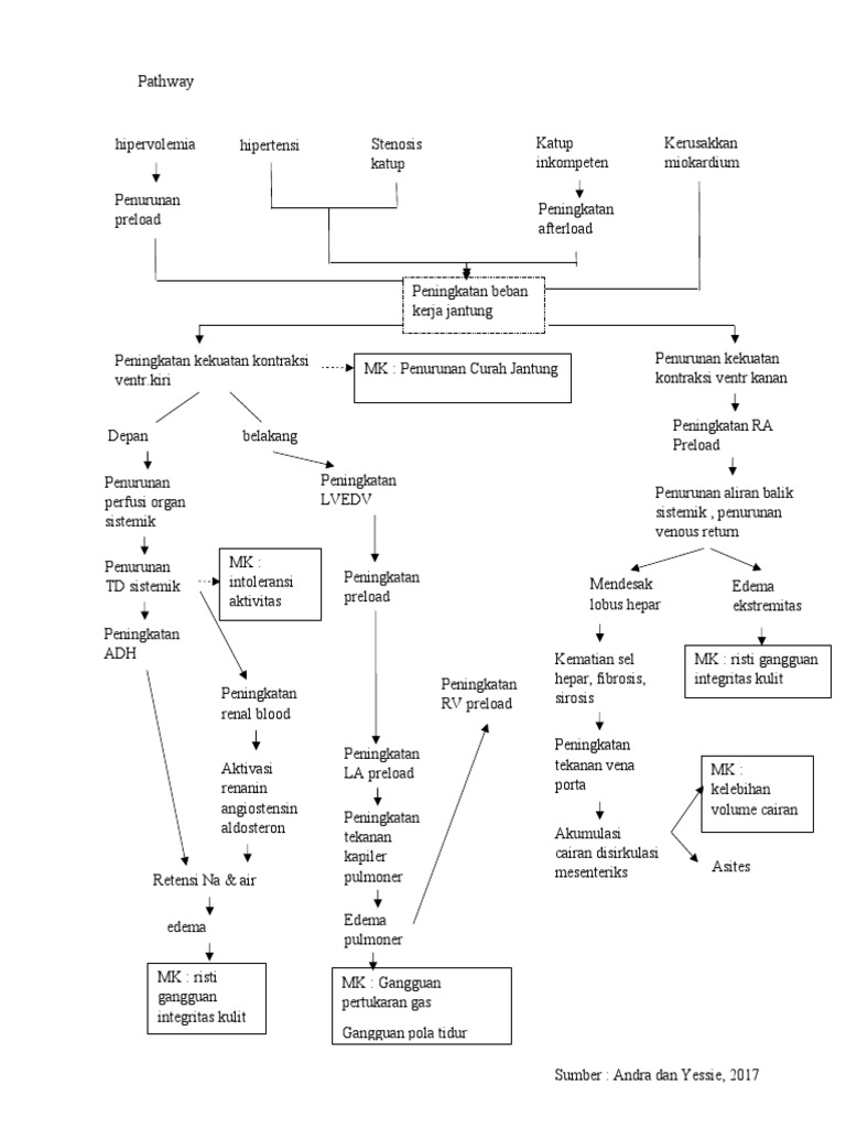 Pathway CHF | PDF
