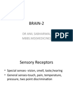Brain-2: DR Anil Sabharwal Mbbs - MD (Medicine)