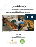 Beyond Beauty - Distribution Report 3 FINAL 4-1-16