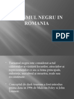 294643720-Turismul-Negru-in-Romania.pptx