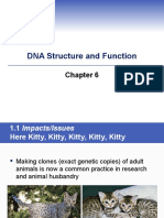 DNA Structure and Function