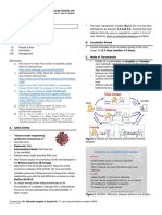 (MED) COVID-19 Trans V. 2.0 PDF