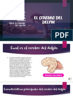 El Cerebro Del Delfin PDF