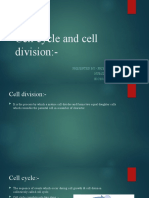 Mitosis and Meiosis