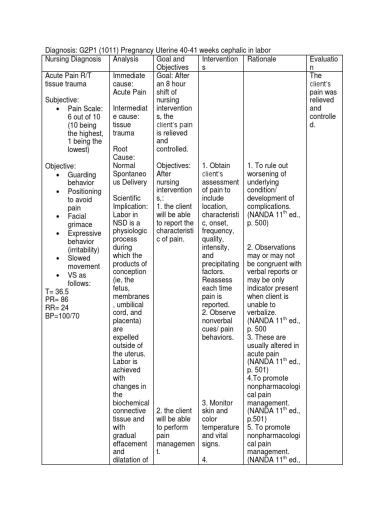 Nursing Care Plan for Labor Pain | PDF | Childbirth | Uterus