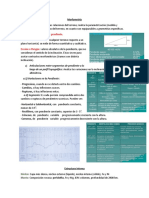 Geomorfologia Resumen-1