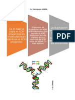 Duplicacion de Adn, Transcripcion y Traduccion