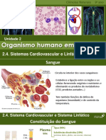 CN9_Sistema_Cardiovascular.pdf