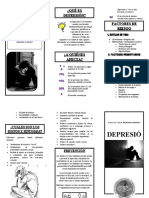 Triptico Depresion y Suicidio