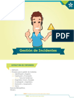 Gestion de Incidentes PDF