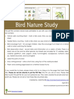 Bird Nature Study: Homeschool Creations