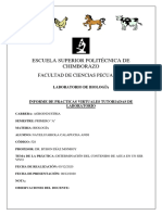 Calapucha - Nayeli 1ro A PDF