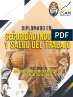 D. Seguridad Industrial