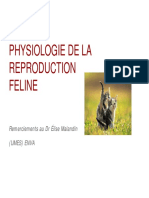 Physiologie de La Reproduction Feline I