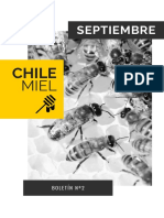 CHILEMIEL BOLETIN Sept PDF