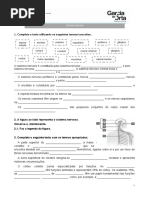Ficha sistema nervoso.docx