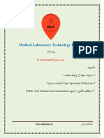 L-7MLT course (Urine sample)pdf