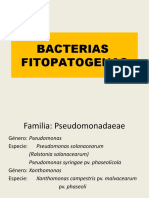 Bacterias 1