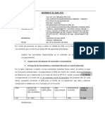 Modelo Informe para Guardian