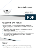 Immunoblot Kel 13