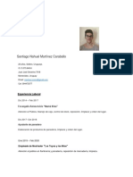 CV Santiago Martinez PDF