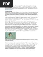 Download pyomyositis by Jens Ocampo SN48794275 doc pdf