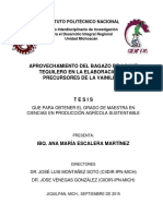 aprovechamiento del bagazo de de agave para produccion de vainillina.pdf