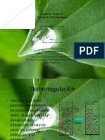 Evidencia de Tarea 4 OSMORREGULACION