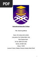 Download report on observing mitosis Autosaved by Ddemoit Vjezta SN48795343 doc pdf