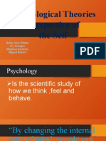 Psychological Theories /perspective of The Self: Baby Jane Gitana Ivy Tiongco Marjhon Amaroto Miguel Enrera