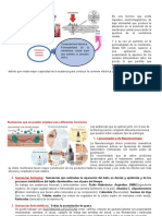 Sustento Exposicion Electroporacion