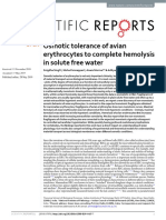 Osmotic Tolerance of Avian Erythrocytes To Complete Hemolysis in Solute Free Water