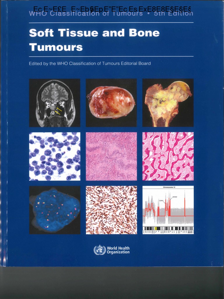 WHO Classification of Tumours of Soft Tissue and Bone (World Health Organization Classification of Tumours) Fletcher，Christopher D. M.、 Bridge，Julia A.、 Hogendoorn，Pancras C. W.; Mertens，Fredrik WHO Classification of Tumours of Soft Tissue and Bone Fourth