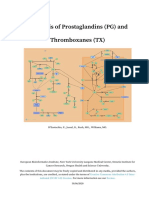 Synthesis of Prostaglandins (PG) and Thromboxanes (TX)
